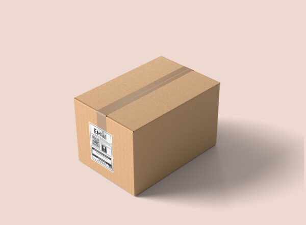 TOILET CLEANER - CAJA 6/1